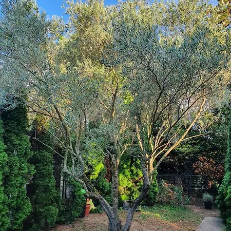 Cypress Garden Apartament Portorož