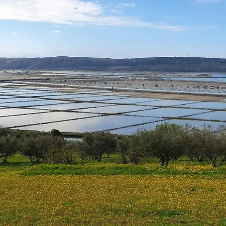 Apartmán Cypress Garden Portorož