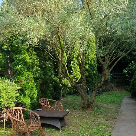 Cypress Garden *