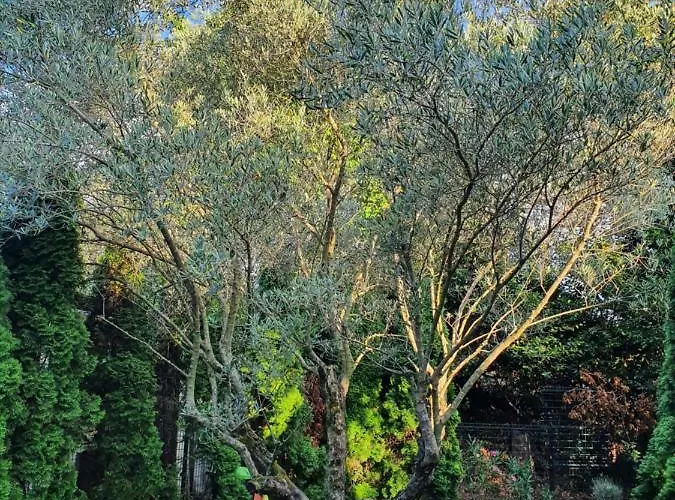 Cypress Garden Apartamento Portorož