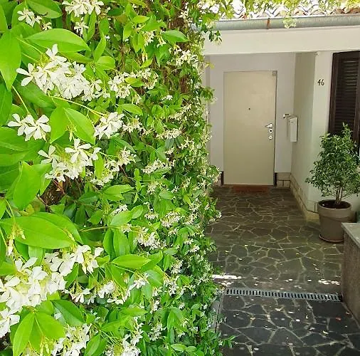 Cypress Garden Διαμέρισμα *