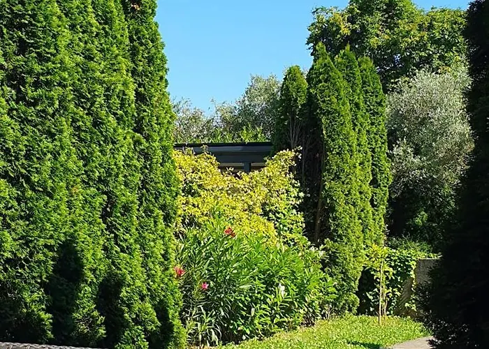 Cypress Garden Διαμέρισμα *